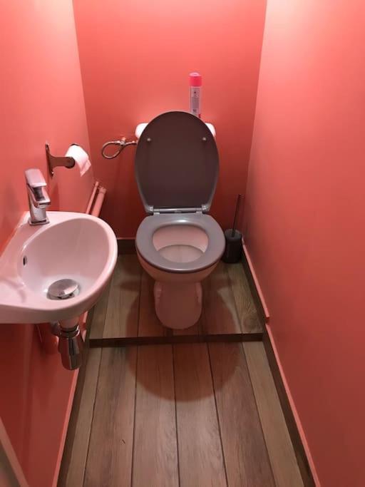 Maison Rez De Jardin Integral Entre Disney & Paris Chelles  Dış mekan fotoğraf